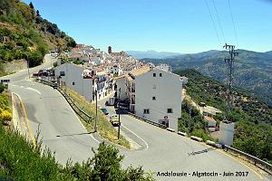 632- Algatocin